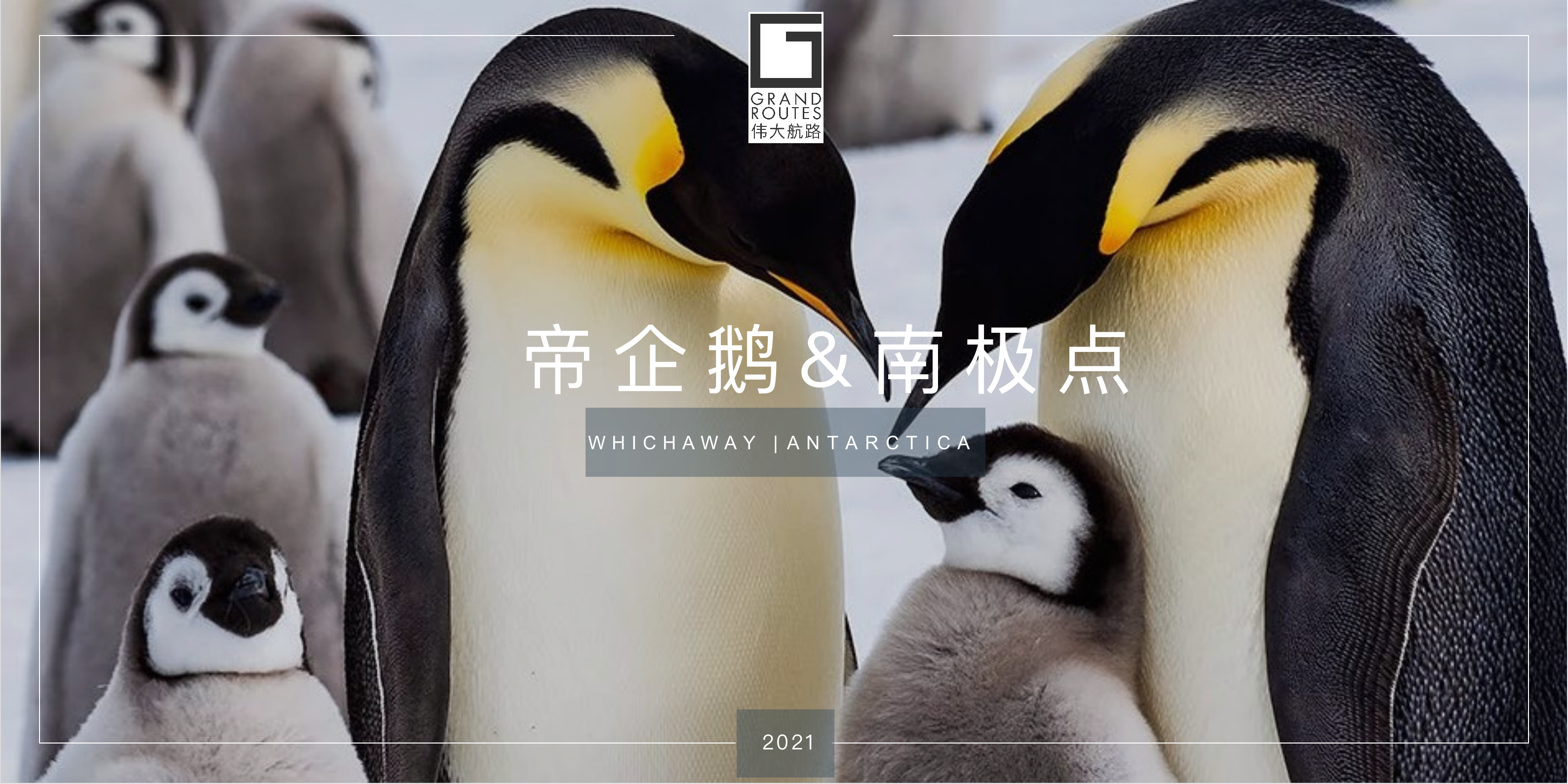 帝企鹅&南极点-2021_01.png