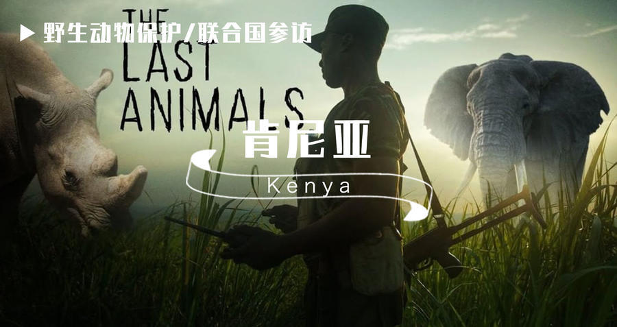 肯尼亚招募 | 持枪野保战士陪同·加入一线野生动物巡护 肯尼亚招募 | 持枪野保战士陪同·加入一线野生动物巡护