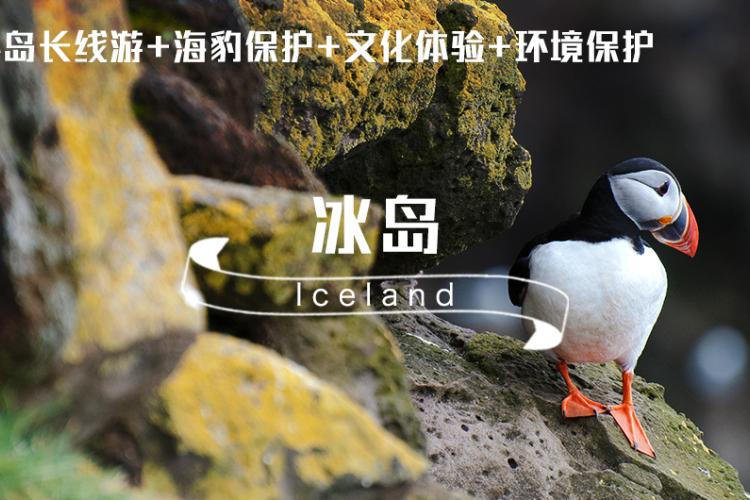 冰岛 · 亲子义工旅行｜环境保护+地热能源学习