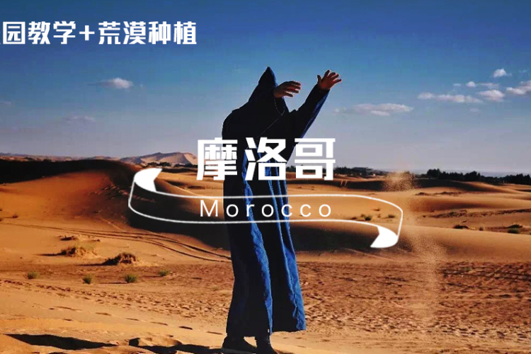 摩洛哥 · 亲子深度游｜最全的摩洛哥之旅