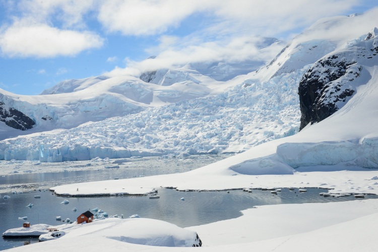 南极半岛经典探险之旅 (12天)需下架