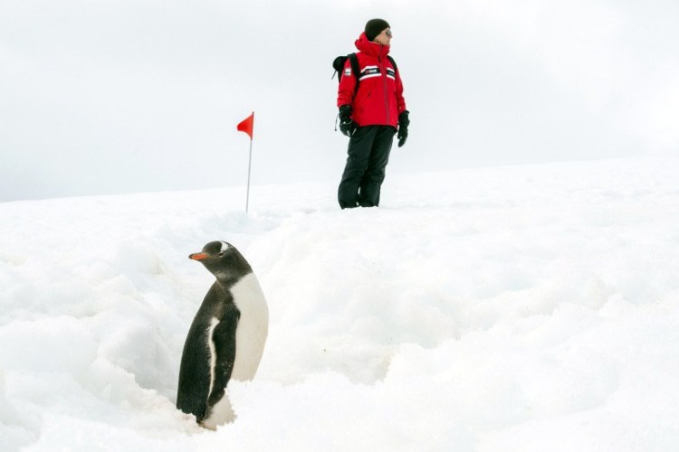 南极半岛12天精华探险之旅（12天9晚）