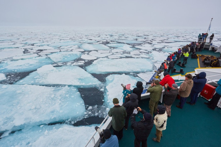 普兰休斯号(Plancius)– 北极斯瓦尔巴群岛 - 寻找北极熊和浮冰（8天7晚）