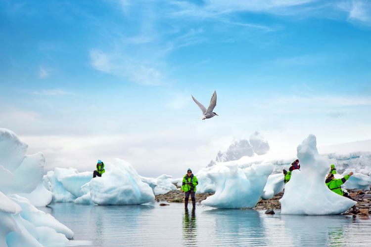 世界旅行者号(World Traveller)- 德雷克快线(8天7晚) 世界旅行者号(World Traveller)- 德雷克快线(8天7晚)