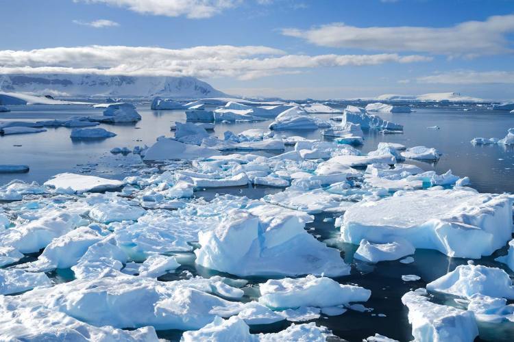 海神号（Seaventure） - 穿越南极圈（14天12晚）