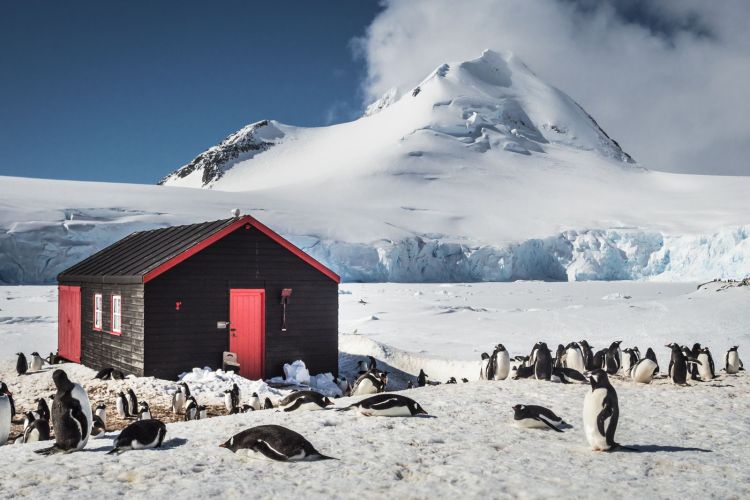 宏迪斯号（Hondius） – 南极半岛深度路线-大本营-免费露营、皮划艇、雪鞋/徒步、登山、摄影等(13天12晚)