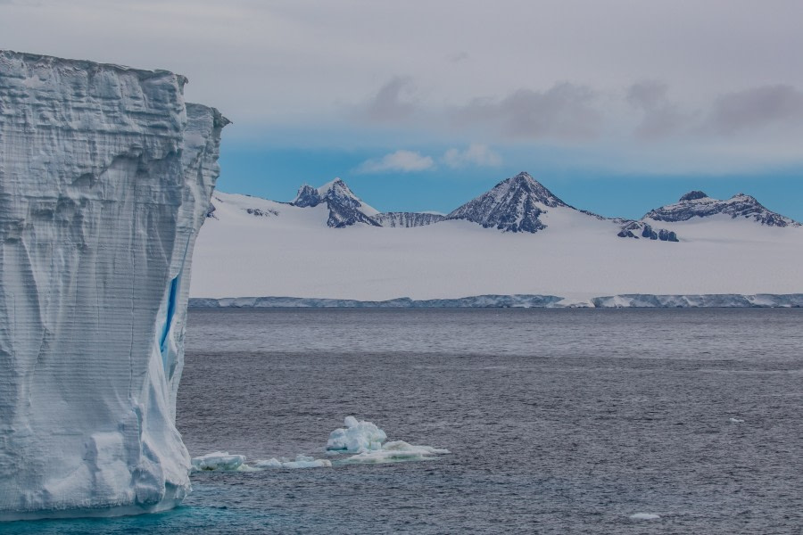 南极洲象岛图片