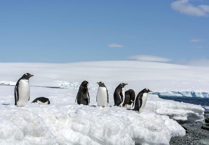 银海迎风号（Wind）- 第七大洲的冒险之旅(威廉斯港-威廉斯港12天11晚）