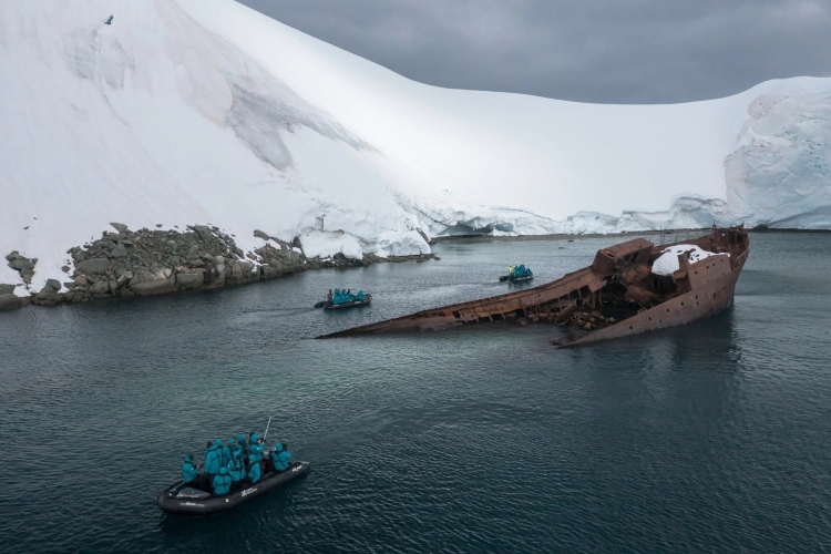 智慧女神号（Minerva）- 南极洲、福克兰群岛和南乔治亚岛往返游（18天17晚）
