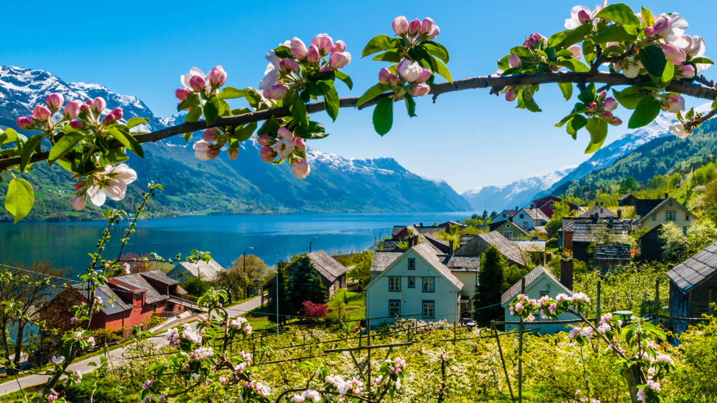 Fjordnorway_com_Robin Strand.jpg